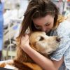 A New Study Found That Affection From Dogs Could Ease Physical Pain in Humans