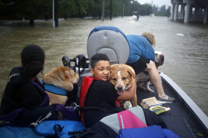 The Humane Society of the United States helps hundreds of animals recover from Hurricane Ian
