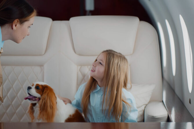 Revealed: the most pet-friendly airlines