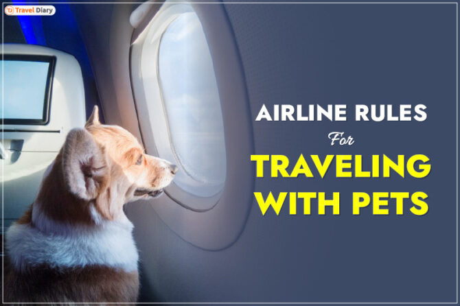 Ultimate Guide to Navigating Airline Rules for Traveling with Pets