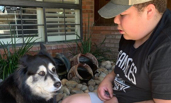 Family dog hailed as hero after thwarting burglar, saving child