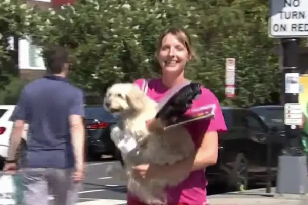 ‘You stole my dog!’ DC woman chases bus in dramatic rescue of her beloved pet